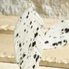 Urbanista Dalmatian Leather Earring Earrings