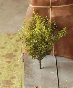 Lancaster Home Greenery 14" Baby's Grass Bush